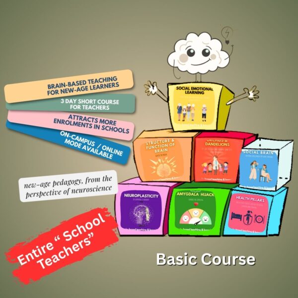 Orientation to Educational Neuroscience (Group Training)